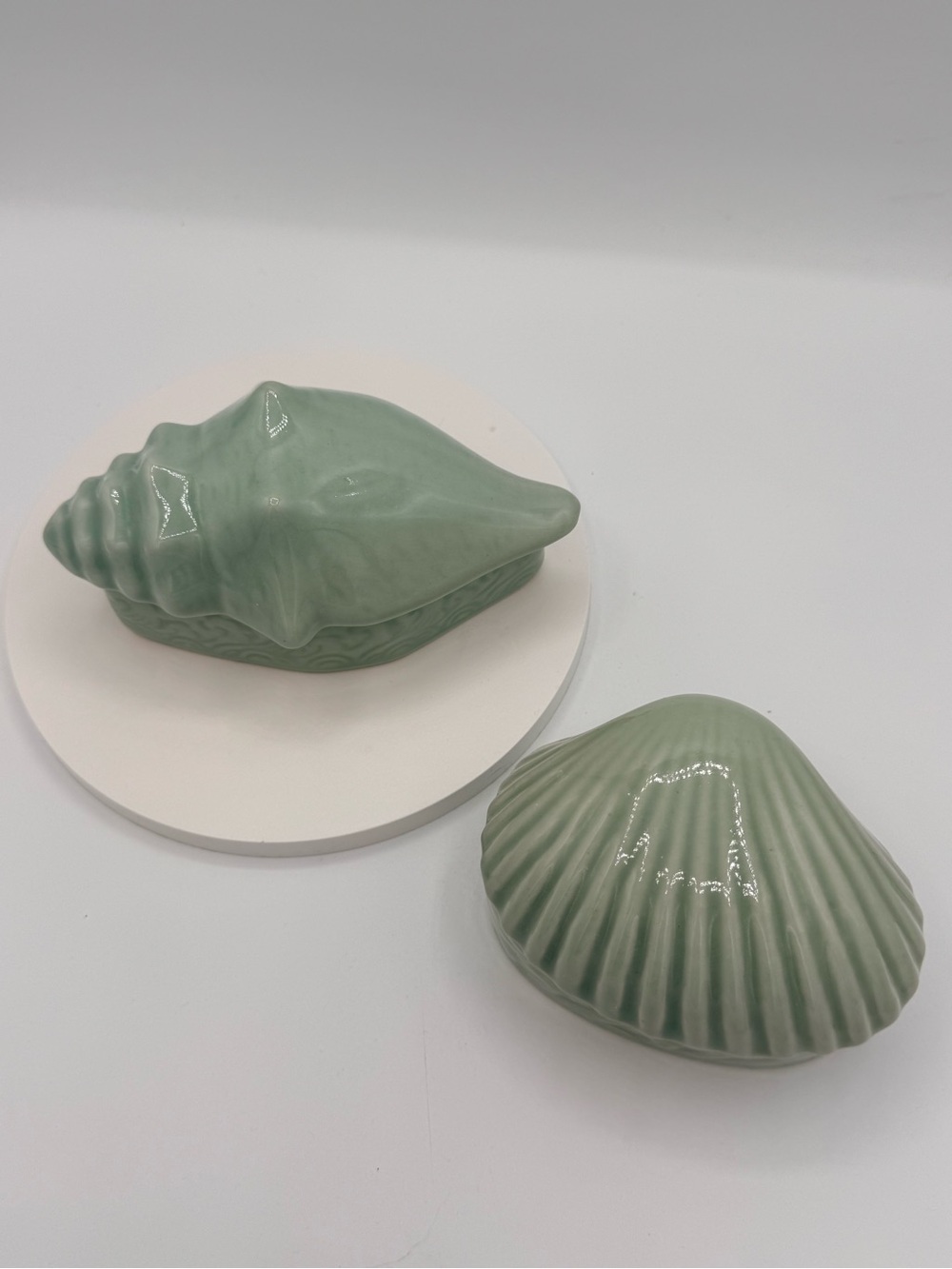 Celedon Ceramic Sea Shell Decorative Box - Sage Green